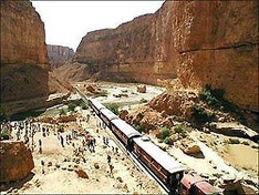 Gafsa, Lezard Rouge
